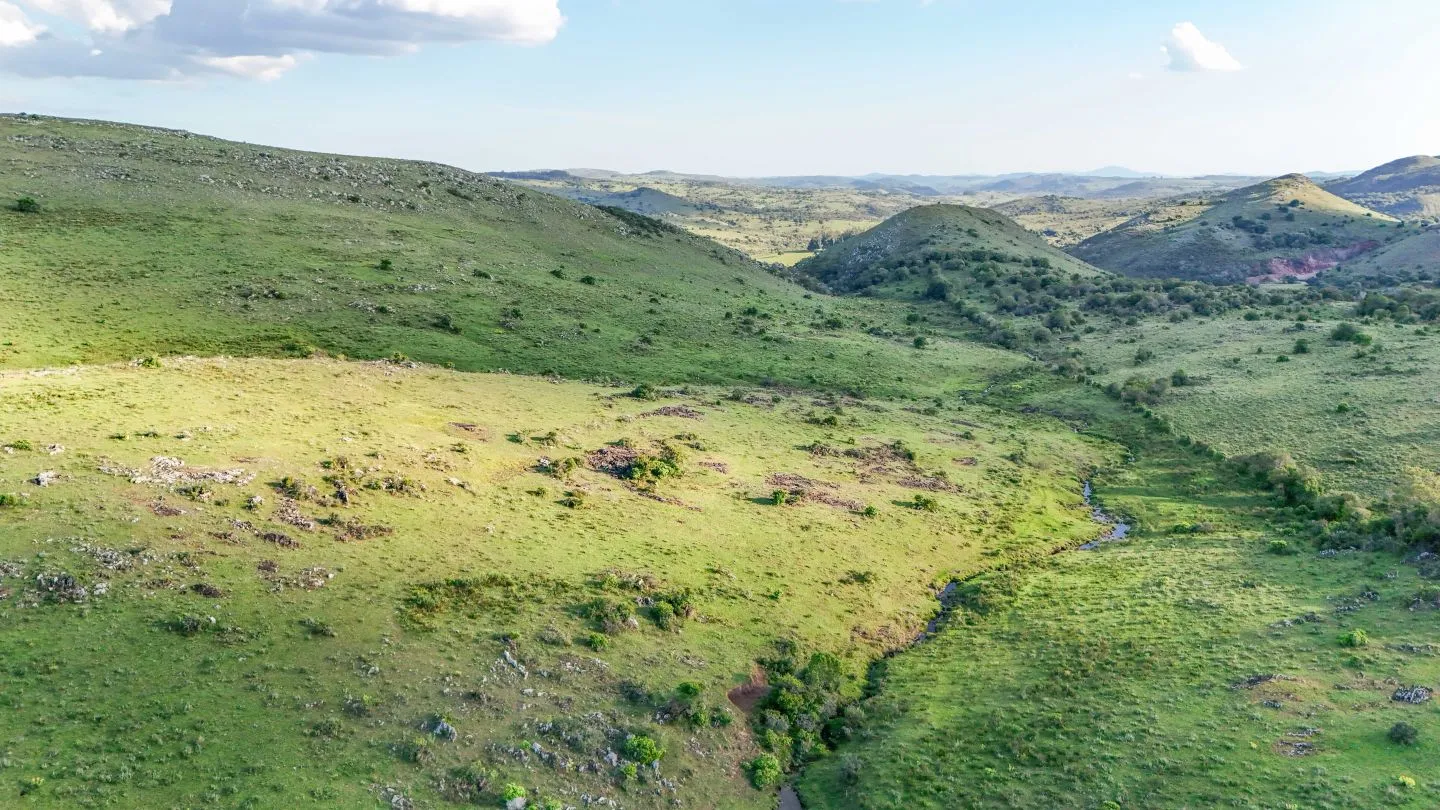 Campo de 95 ha en venta ruta 12 Maldonado/Lavalleja — foto 10