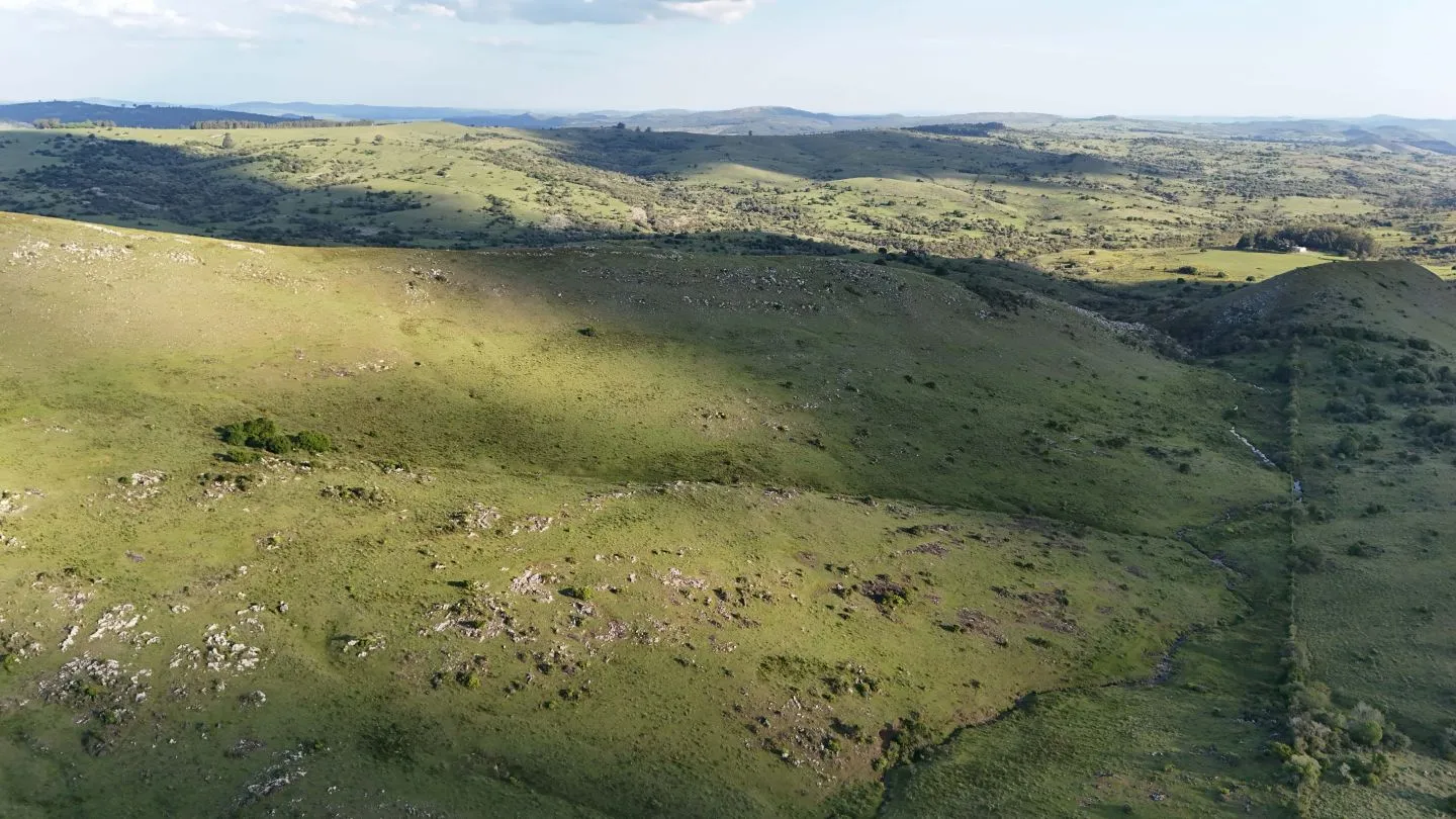 Campo de 95 ha en venta ruta 12 Maldonado/Lavalleja — foto 11