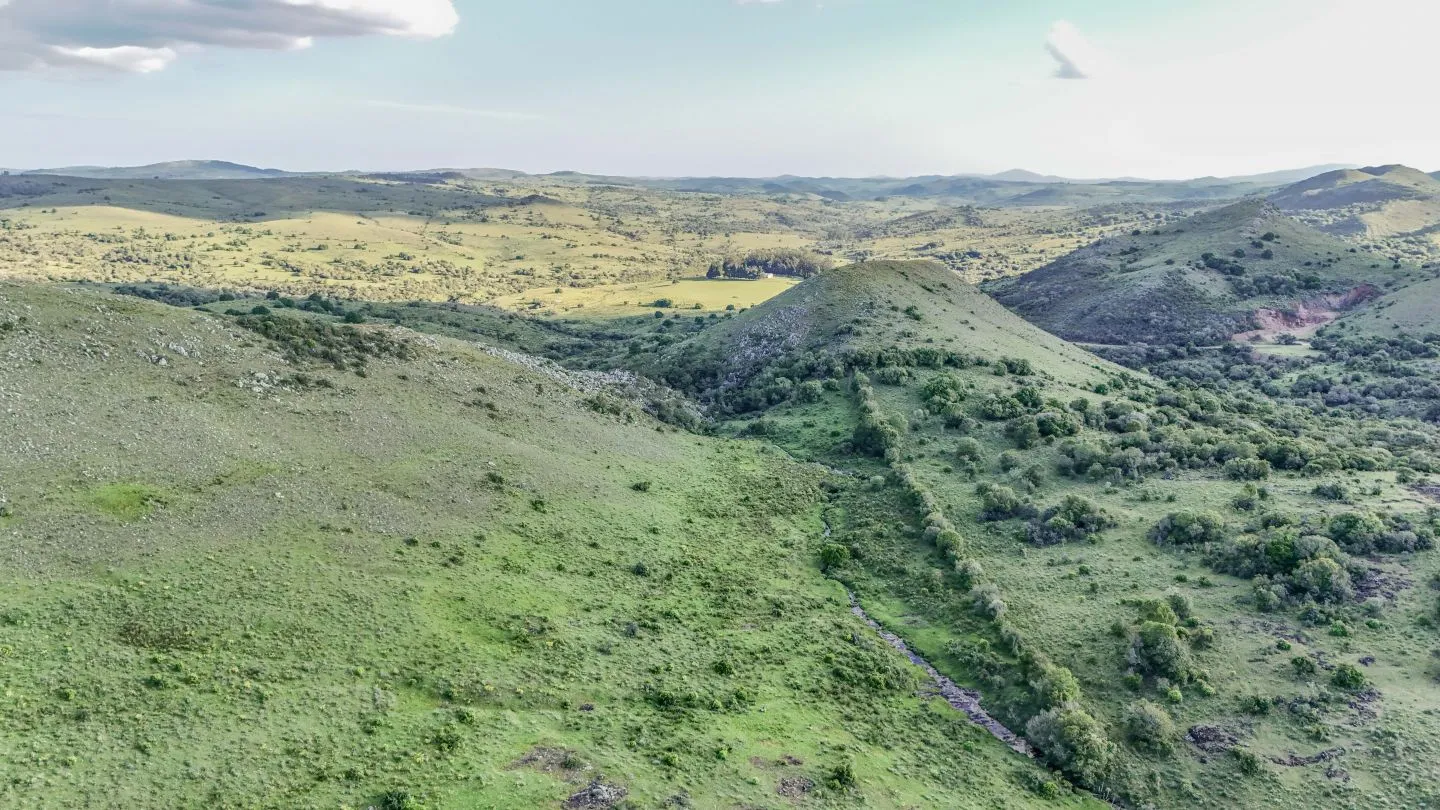 Campo de 95 ha en venta ruta 12 Maldonado/Lavalleja — foto 12