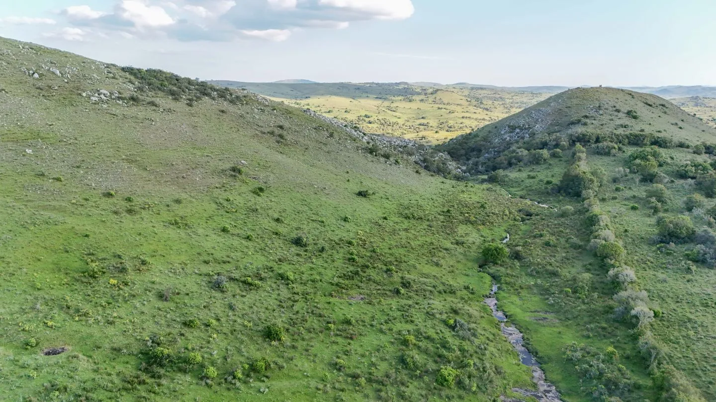 Campo de 95 ha en venta ruta 12 Maldonado/Lavalleja — foto 13