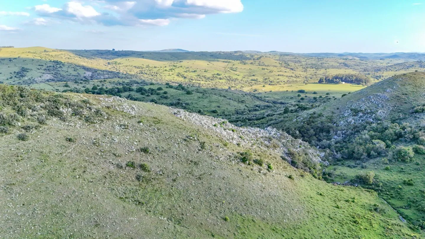 Campo de 95 ha en venta ruta 12 Maldonado/Lavalleja — foto 14