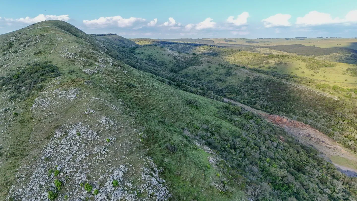Campo de 95 ha en venta ruta 12 Maldonado/Lavalleja — foto 15