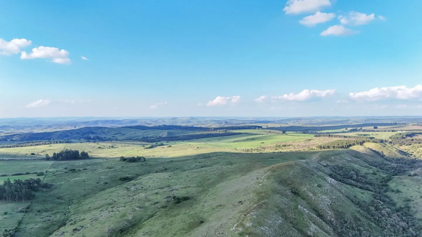 Campo de 95 ha en venta ruta 12 Maldonado/Lavalleja — foto 17