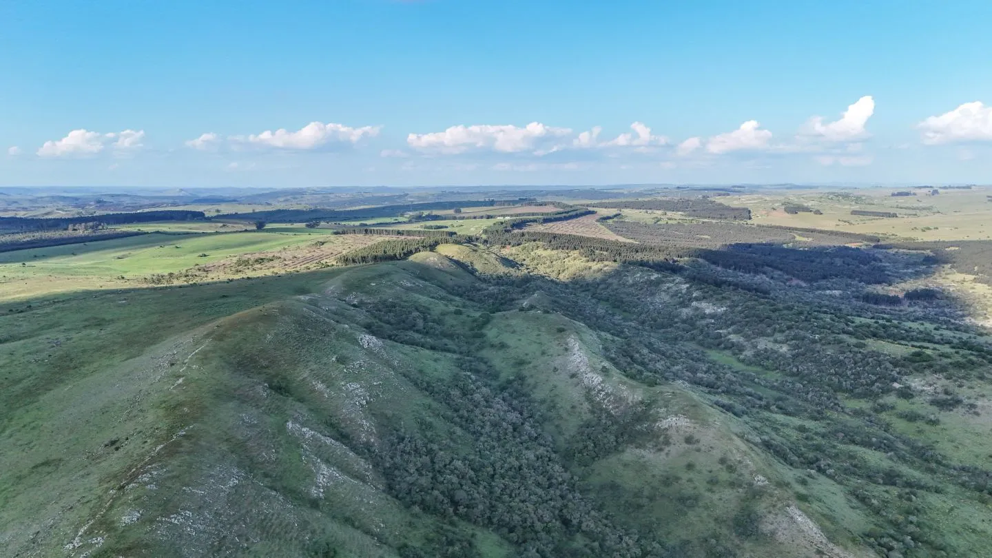 Campo de 95 ha en venta ruta 12 Maldonado/Lavalleja — foto 18