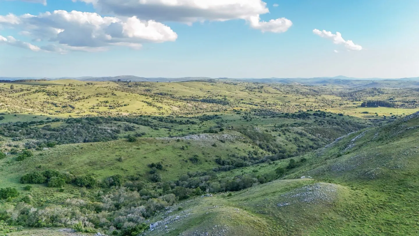 Campo de 95 ha en venta ruta 12 Maldonado/Lavalleja — foto 19