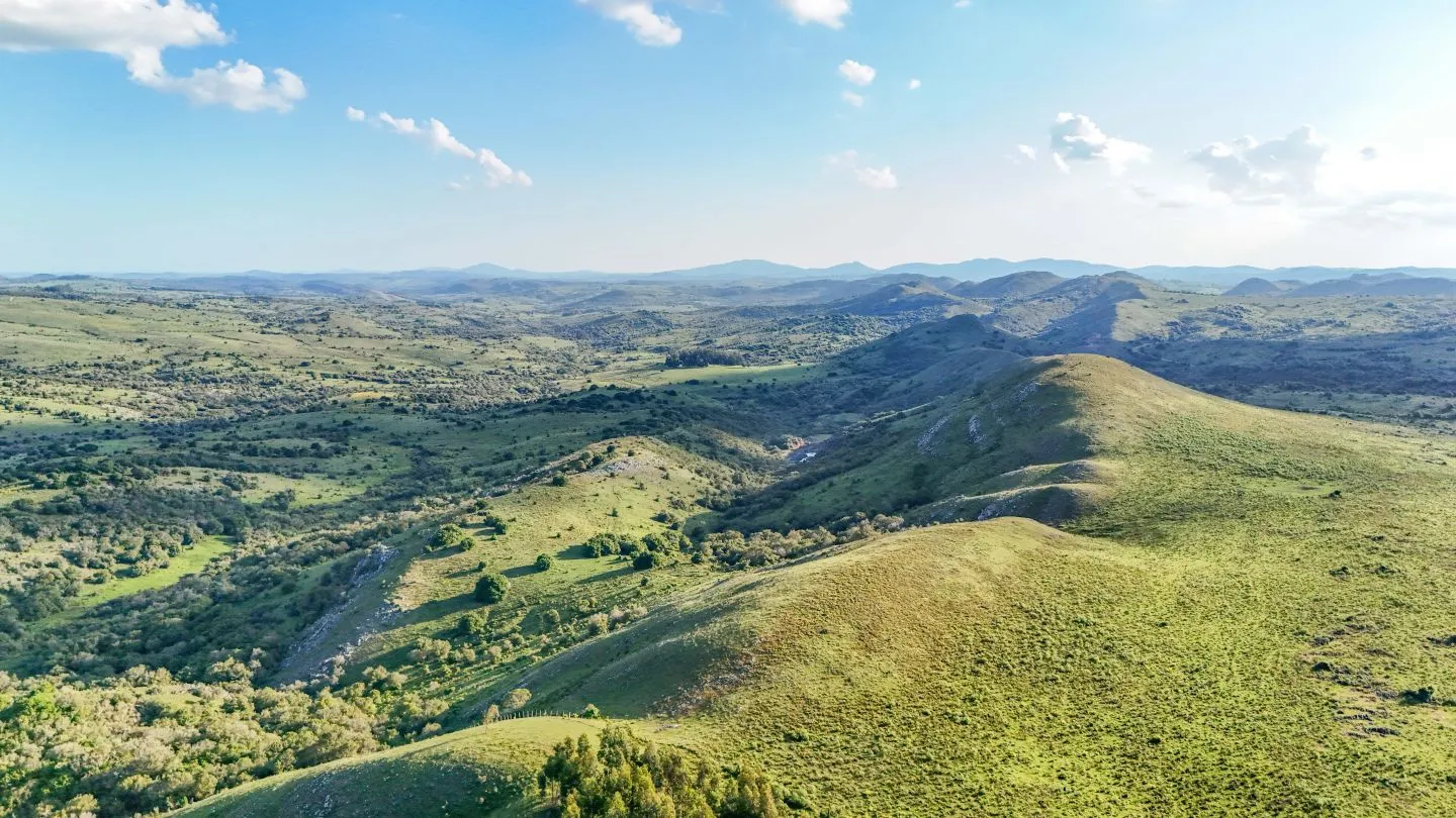 Campo de 95 ha en venta ruta 12 Maldonado/Lavalleja — foto 20