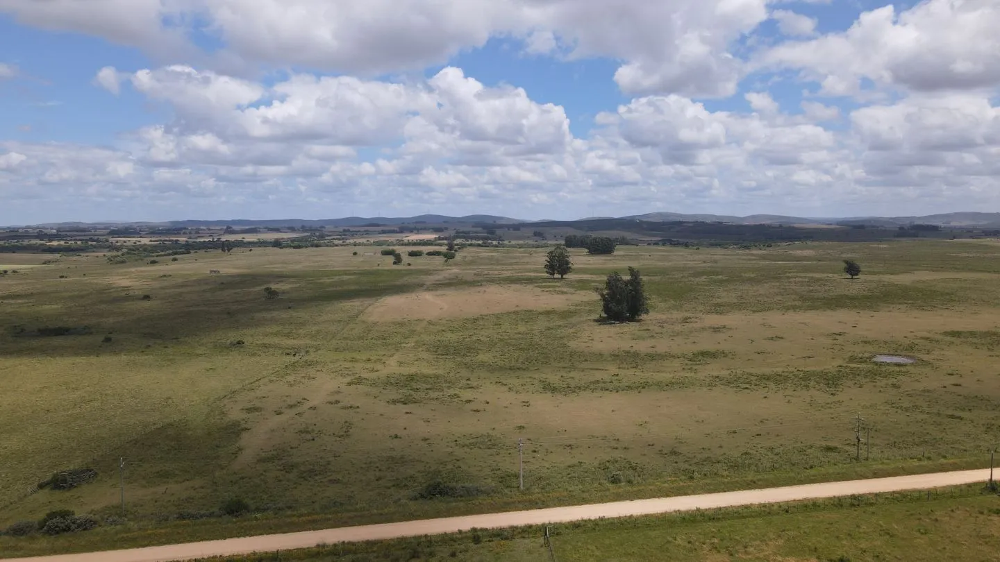Venta de Chacras 3 y 4 hectáreas en corte de la leña — foto 1