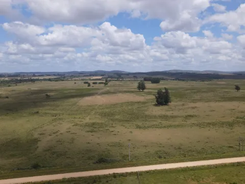 Venta de Chacras 3 y 4 hectáreas en corte de la leña