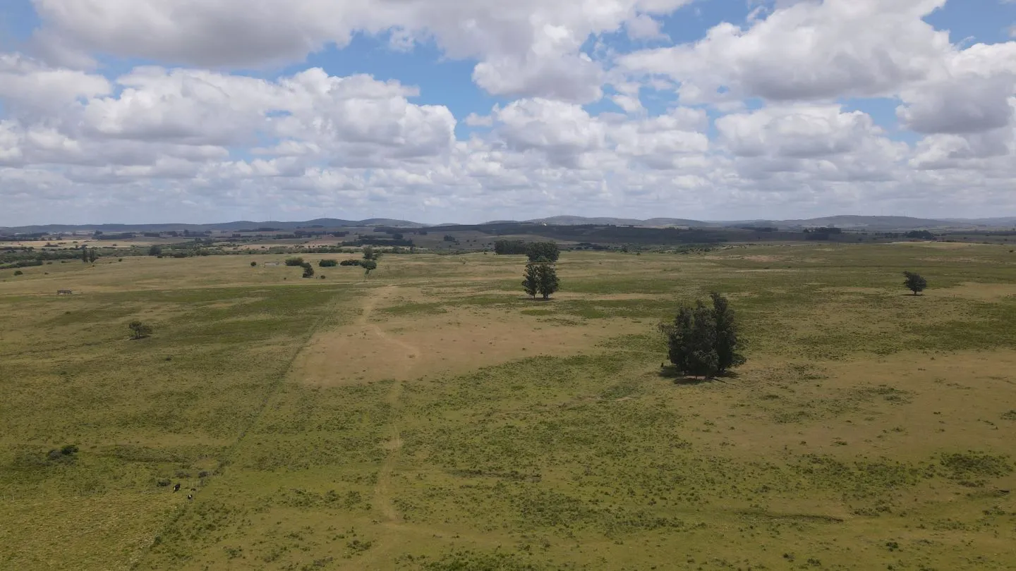 Venta de Chacras 3 y 4 hectáreas en corte de la leña — foto 2