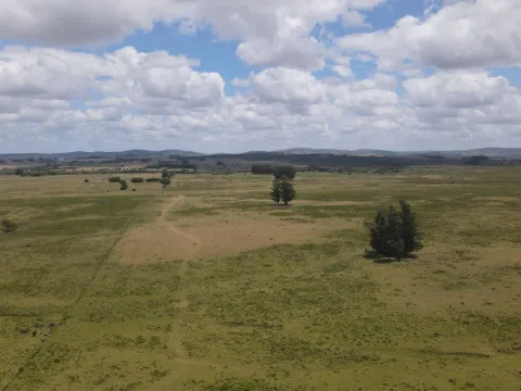 Venta de Chacras 3 y 4 hectáreas en corte de la leña — foto 2