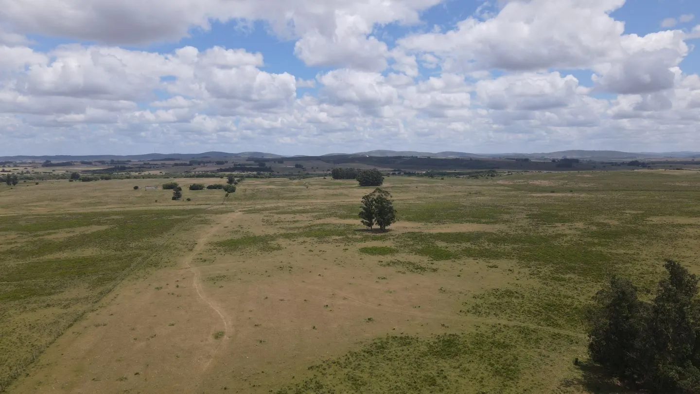 Venta de Chacras 3 y 4 hectáreas en corte de la leña — foto 3