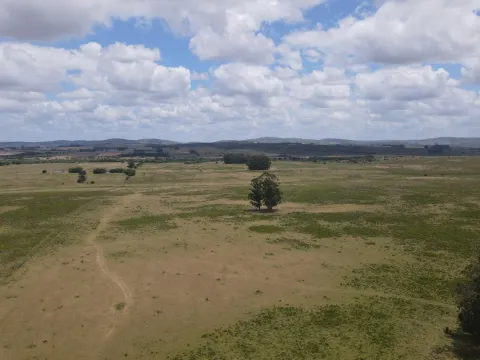 Venta de Chacras 3 y 4 hectáreas en corte de la leña — foto 3