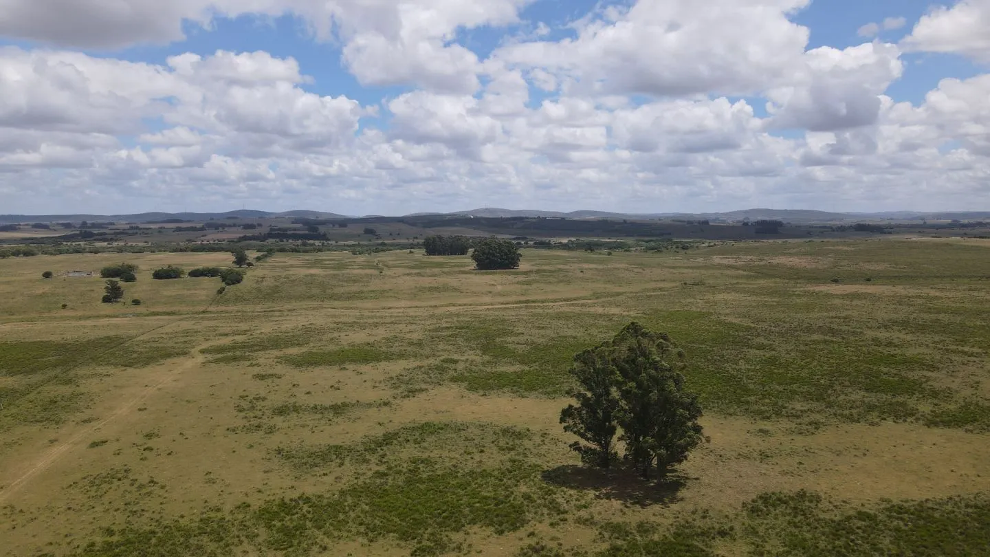 Venta de Chacras 3 y 4 hectáreas en corte de la leña — foto 4
