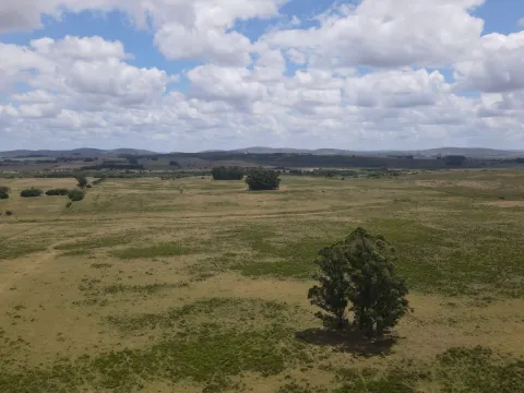 Venta de Chacras 3 y 4 hectáreas en corte de la leña — foto 4