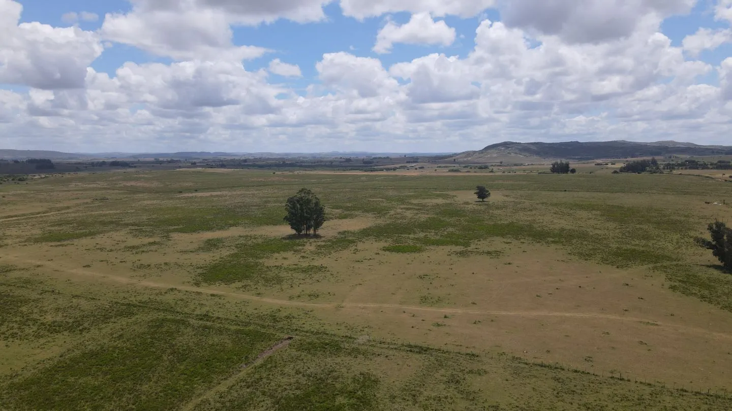 Venta de Chacras 3 y 4 hectáreas en corte de la leña — foto 5