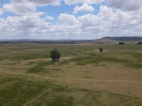 Venta de Chacras 3 y 4 hectáreas en corte de la leña — foto 5