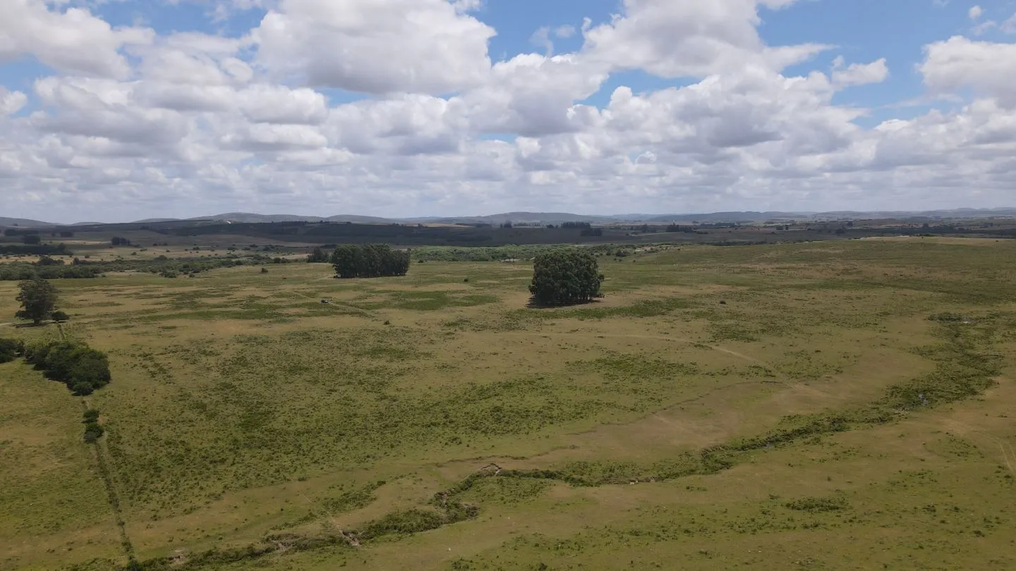 Venta de Chacras 3 y 4 hectáreas en corte de la leña — foto 6