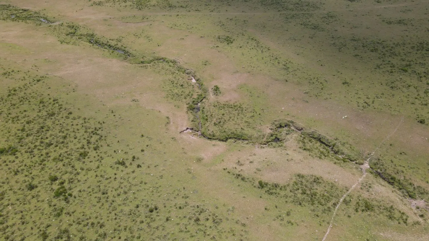 Venta de Chacras 3 y 4 hectáreas en corte de la leña — foto 7