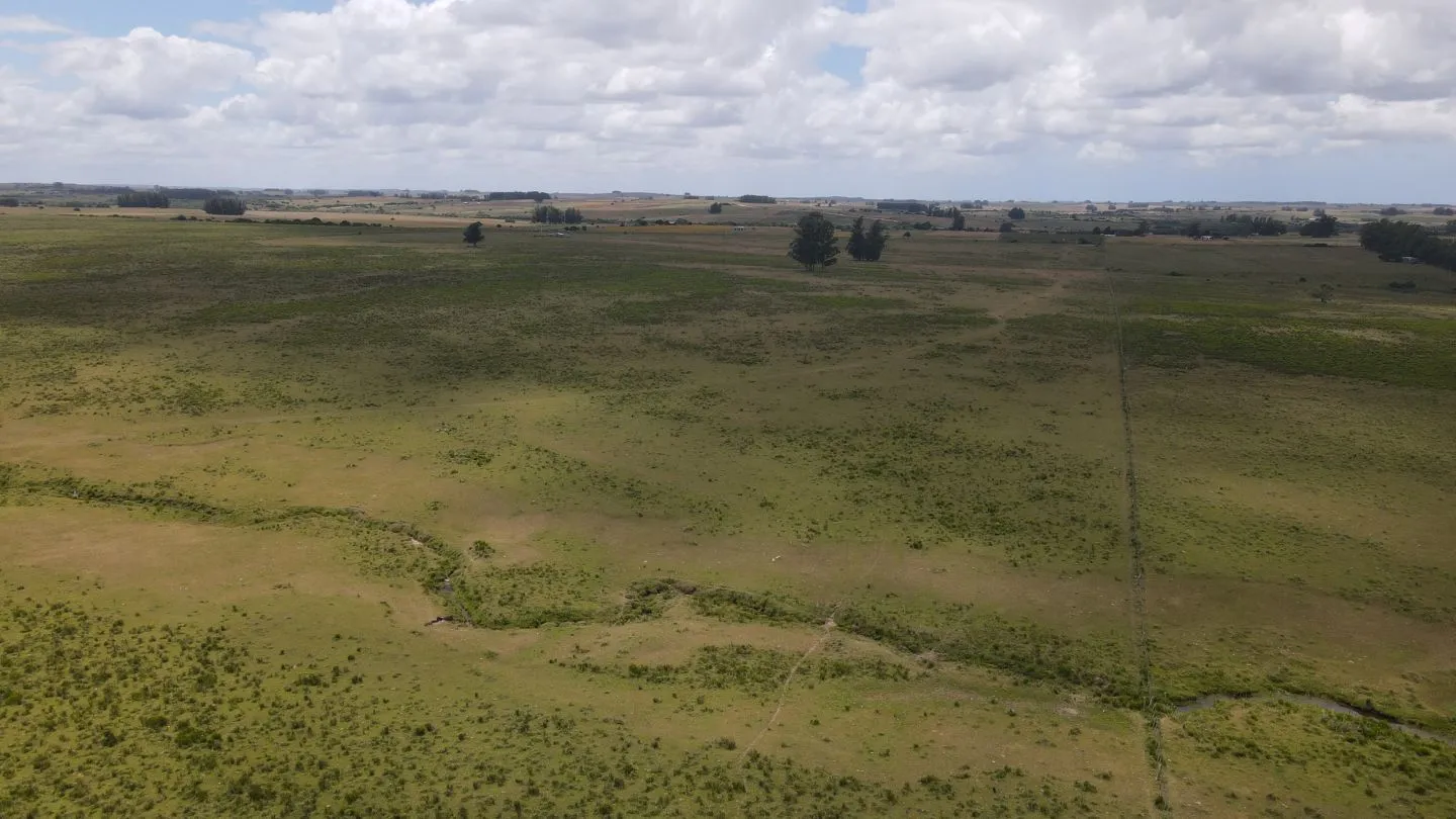 Venta de Chacras 3 y 4 hectáreas en corte de la leña — foto 8
