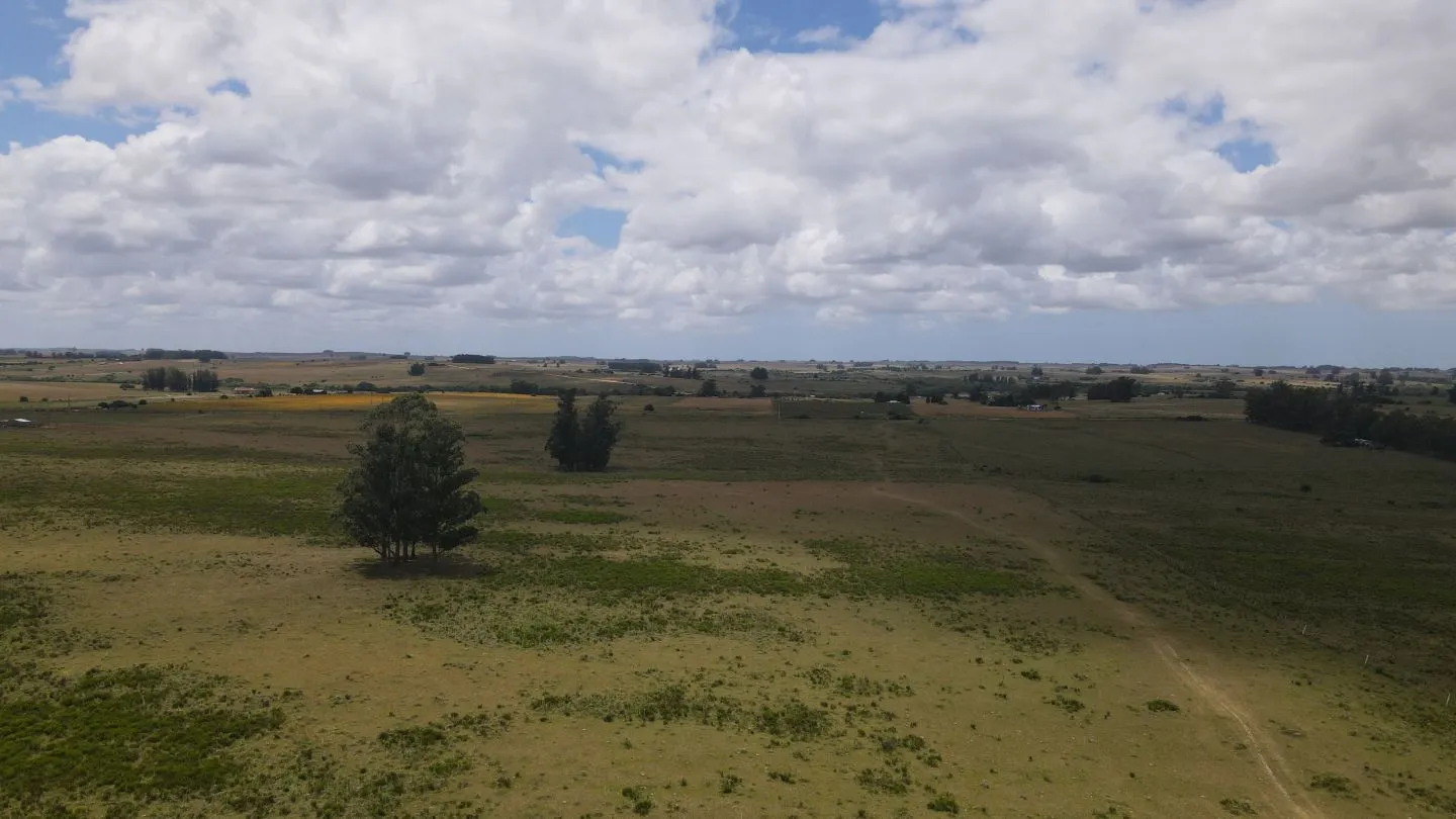 Venta de Chacras 3 y 4 hectáreas en corte de la leña — foto 9