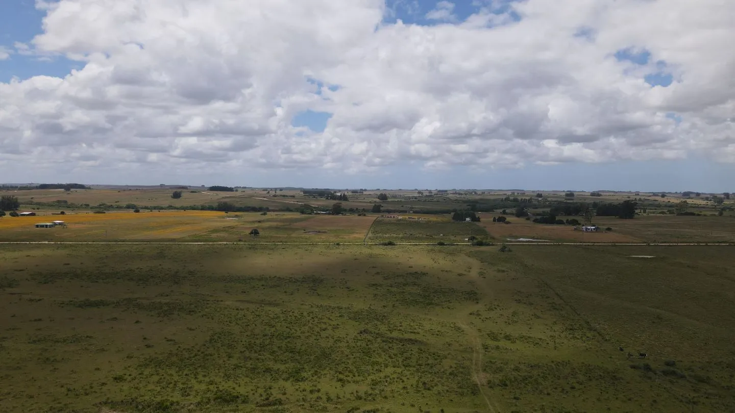Venta de Chacras 3 y 4 hectáreas en corte de la leña — foto 10