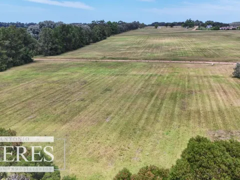 Venta lote-  Barrio Laguna de los Cisnes — foto 4