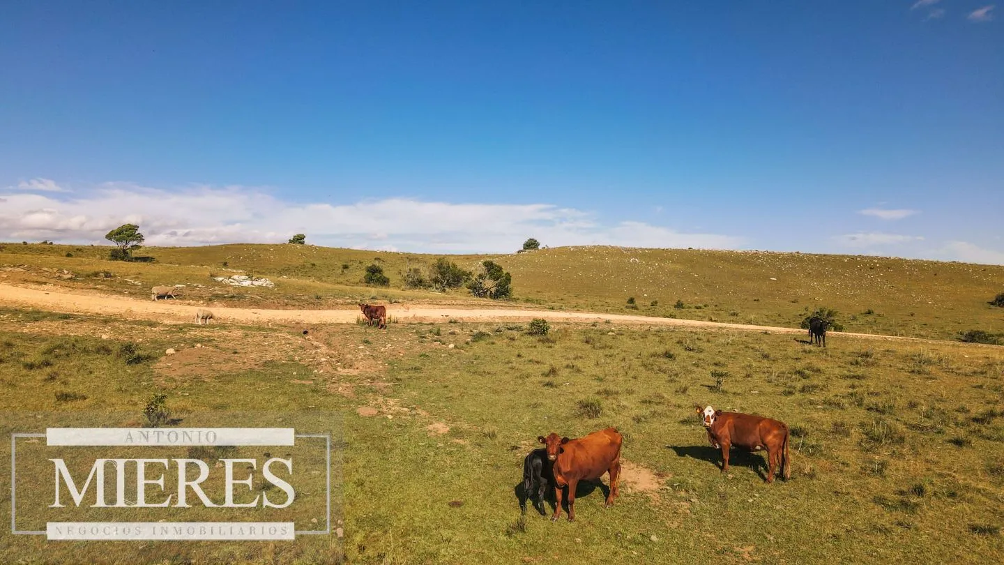 Chacras de 5 ha en fraccionamiento Sierras del Edén ruta 12 — foto 1