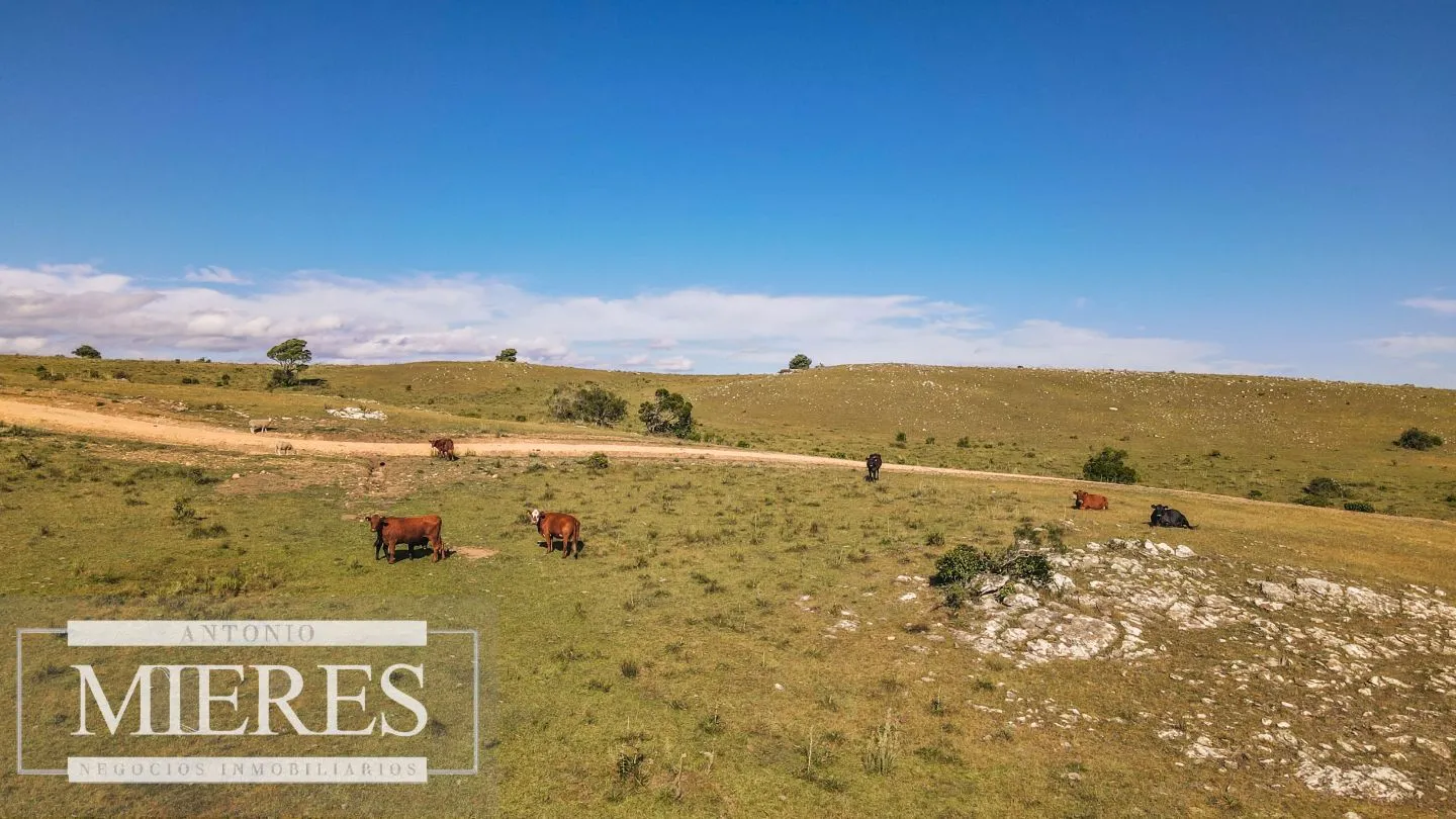 Chacras de 5 ha en fraccionamiento Sierras del Edén ruta 12 — foto 2