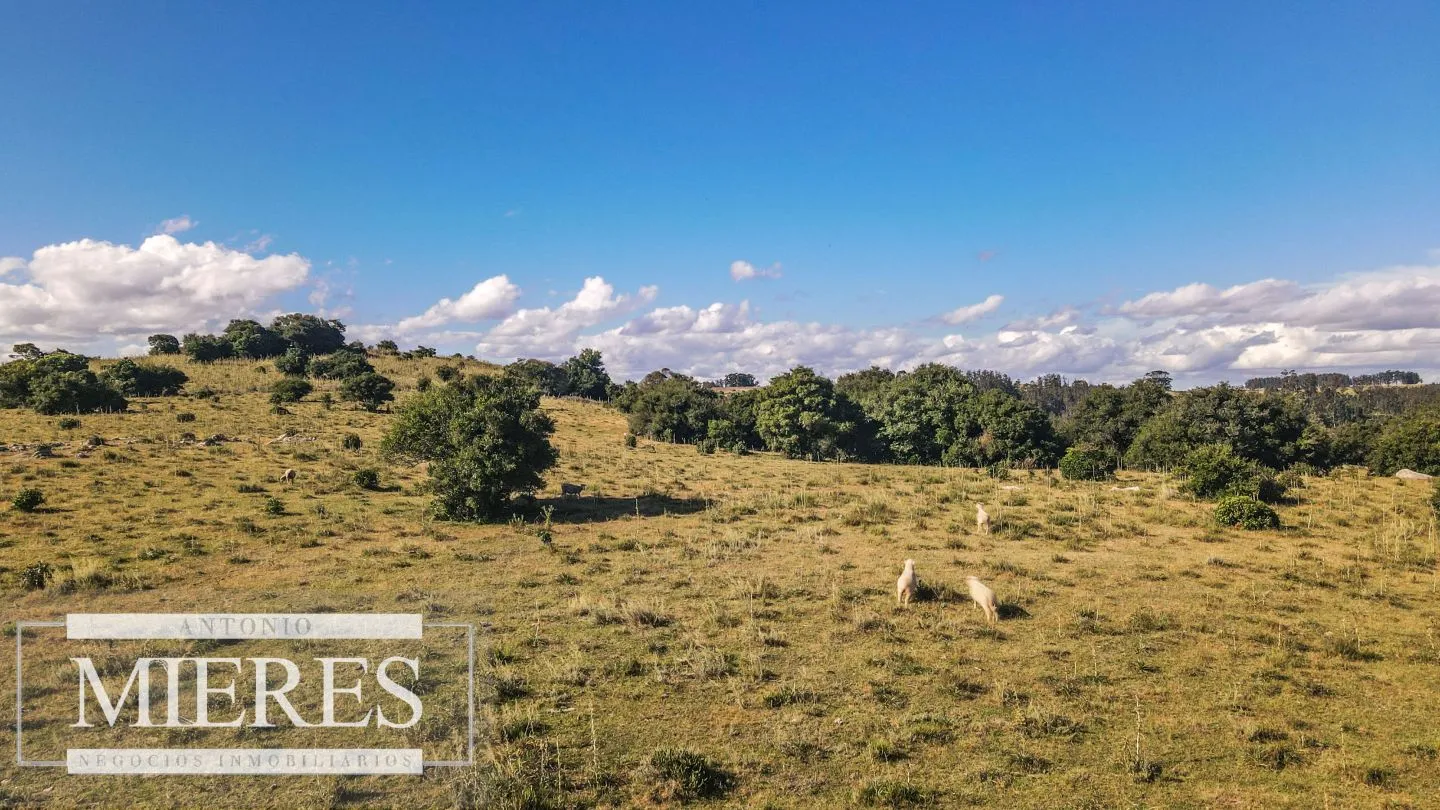 Chacras de 5 ha en fraccionamiento Sierras del Edén ruta 12 — foto 14