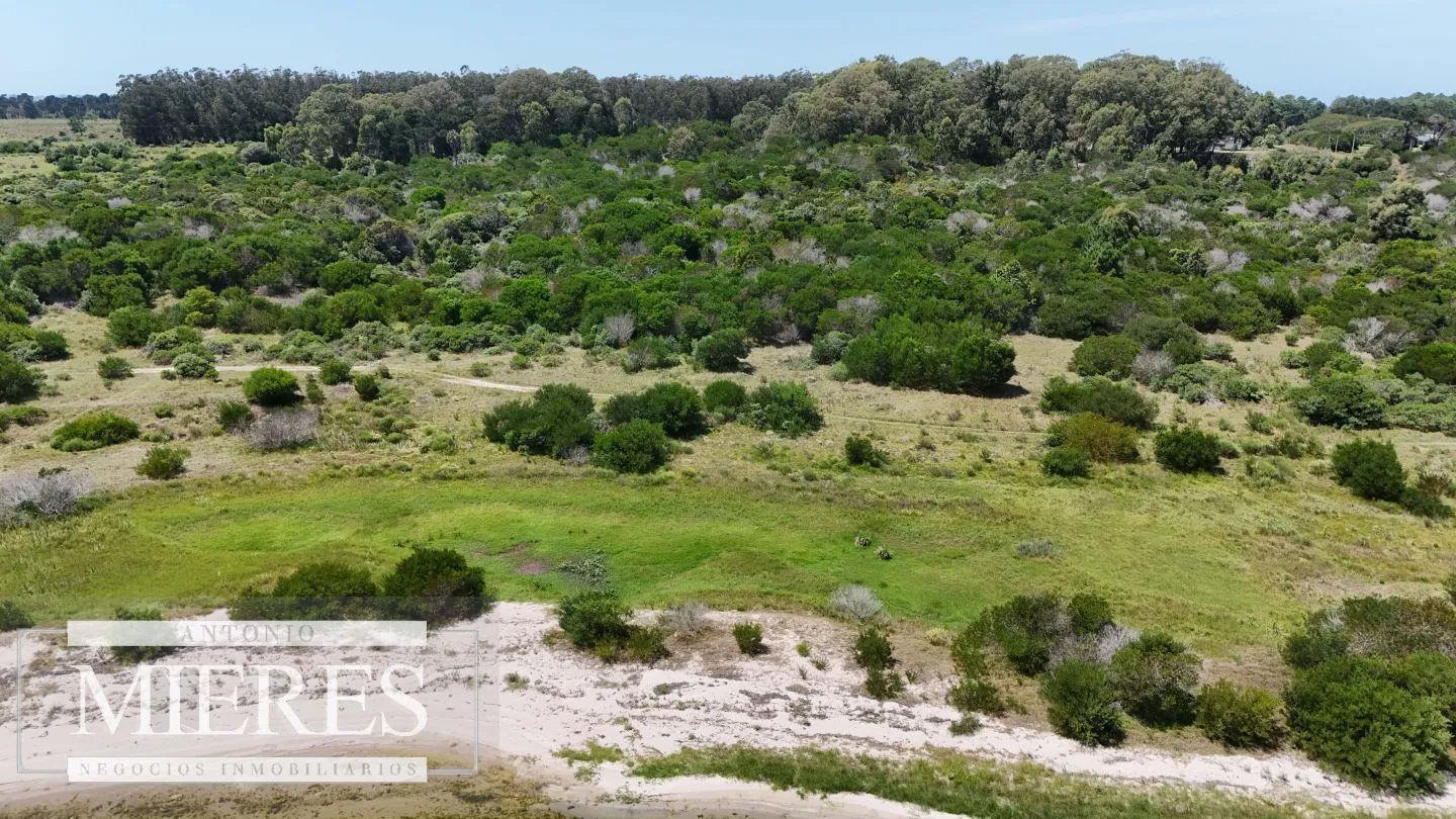 Lote en venta 1era linea Laguna garzon, El Caracol — foto 4