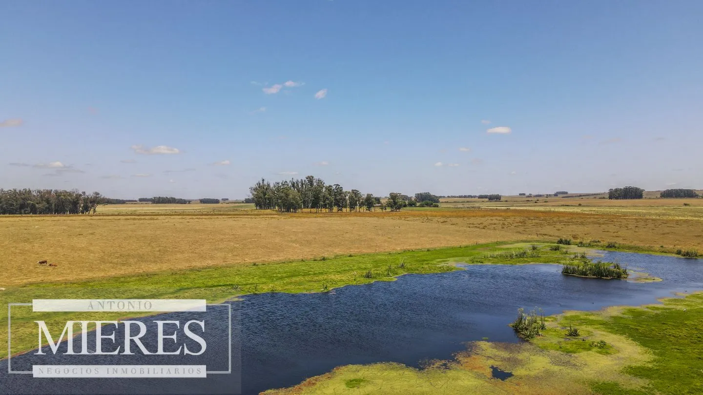 Campo  Ganadero Agrícola de 1200ha en Treinta y Tres — foto 1