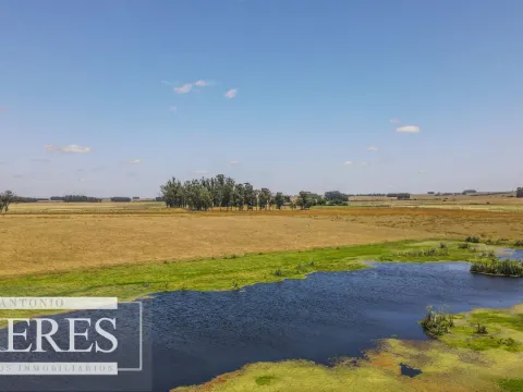 Campo  Ganadero Agrícola de 1200ha en Treinta y Tres