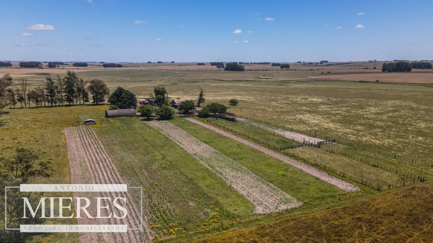 Campo  Ganadero Agrícola de 1200ha en Treinta y Tres — foto 2