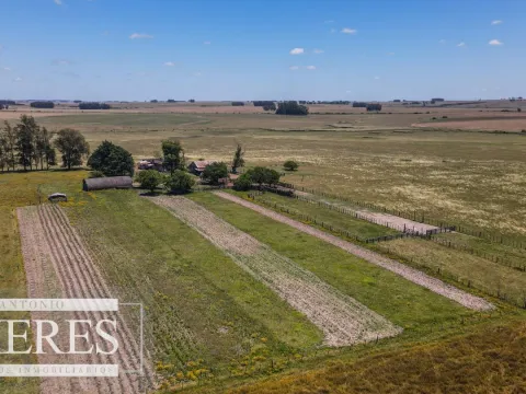 Campo  Ganadero Agrícola de 1200ha en Treinta y Tres — foto 2