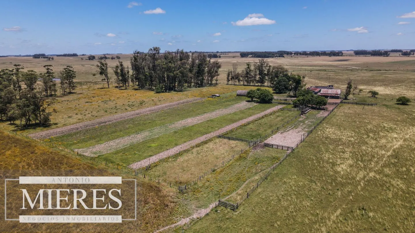 Campo  Ganadero Agrícola de 1200ha en Treinta y Tres — foto 3