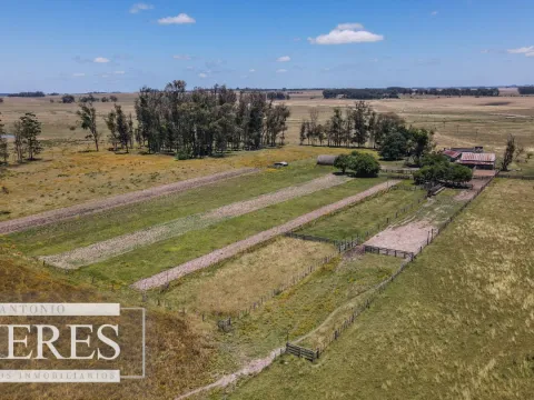 Campo  Ganadero Agrícola de 1200ha en Treinta y Tres — foto 3