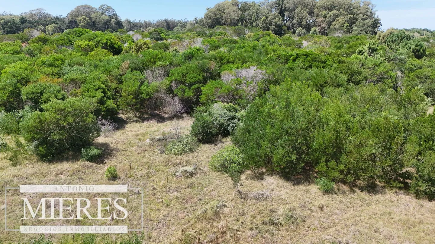 Lote en venta 1era linea Laguna garzon, El Caracol — foto 7