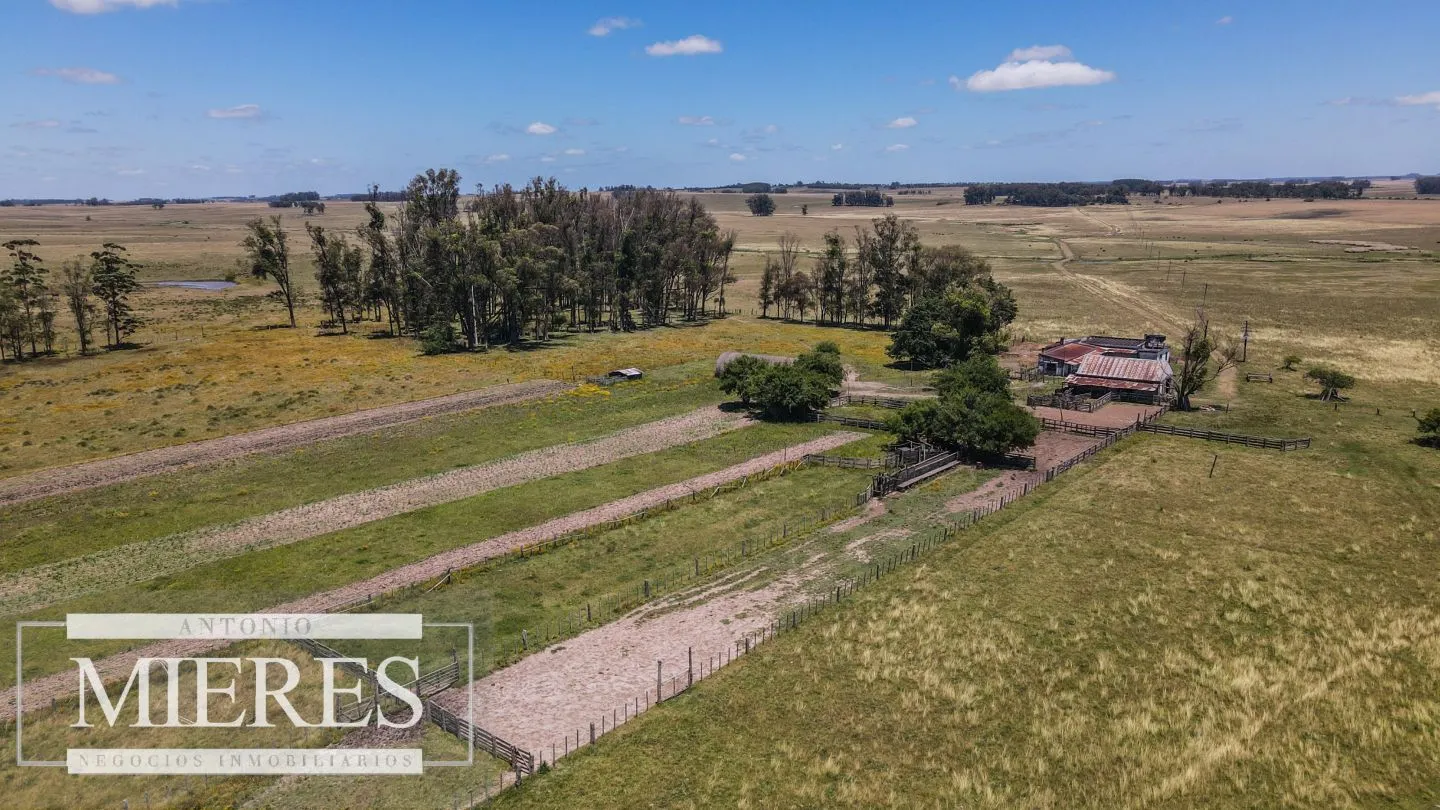 Campo  Ganadero Agrícola de 1200ha en Treinta y Tres — foto 4