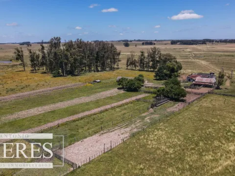 Campo  Ganadero Agrícola de 1200ha en Treinta y Tres — foto 4