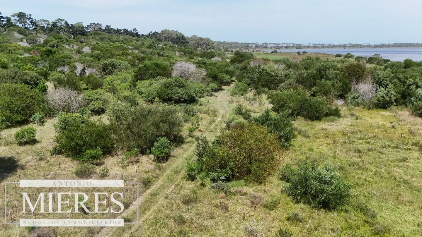 Lote en venta 1era linea Laguna garzon, El Caracol — foto 8