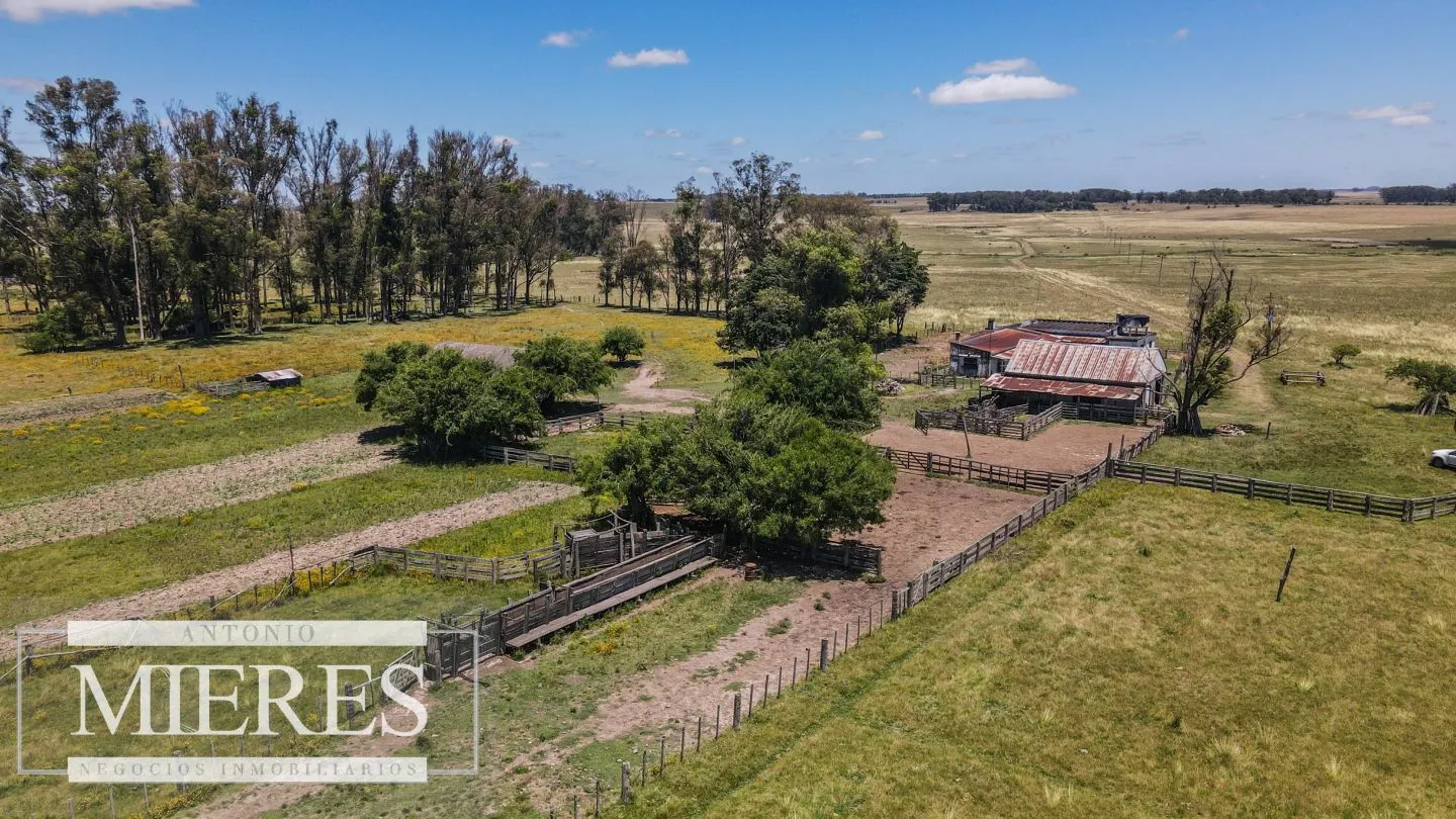 Campo  Ganadero Agrícola de 1200ha en Treinta y Tres — foto 5