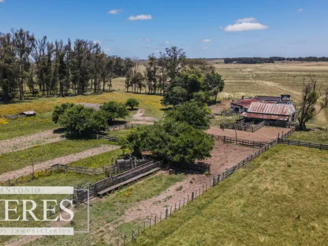Campo  Ganadero Agrícola de 1200ha en Treinta y Tres — foto 5