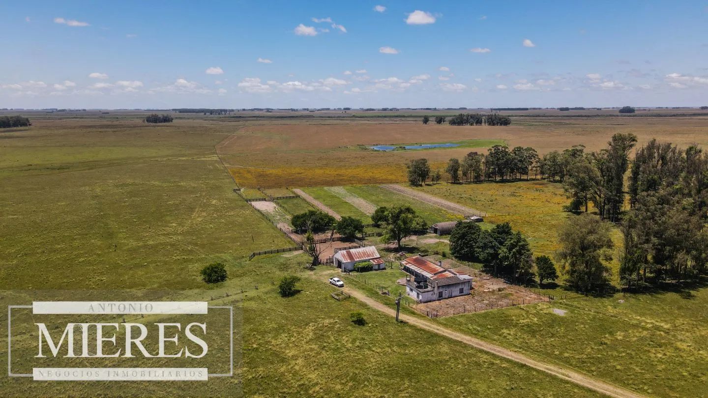 Campo  Ganadero Agrícola de 1200ha en Treinta y Tres — foto 6