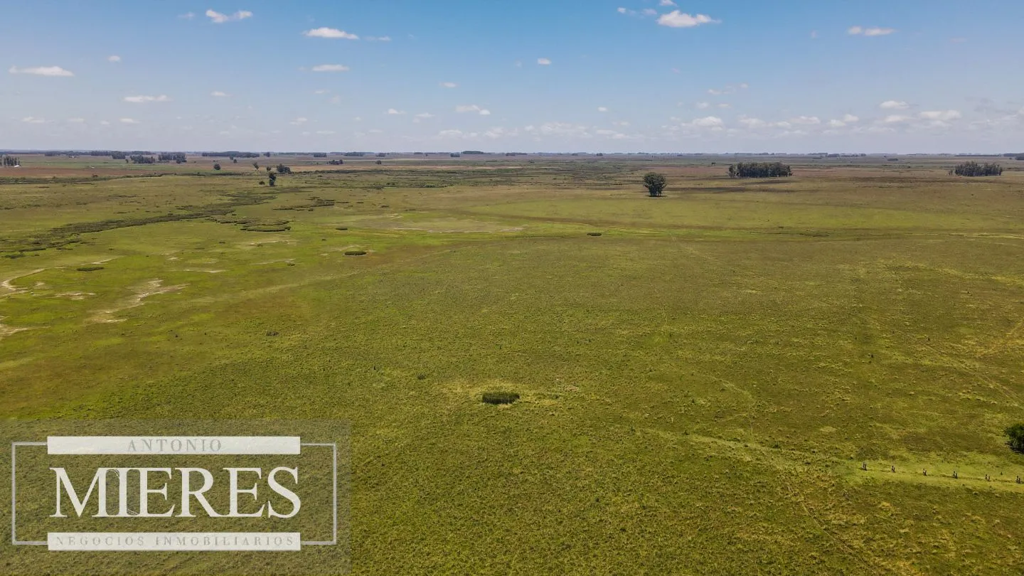 Campo  Ganadero Agrícola de 1200ha en Treinta y Tres — foto 7