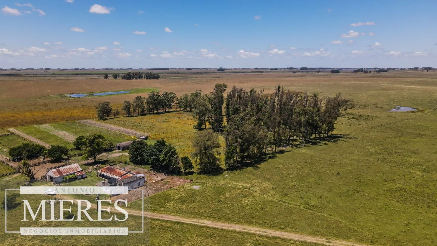 Campo  Ganadero Agrícola de 1200ha en Treinta y Tres — foto 8