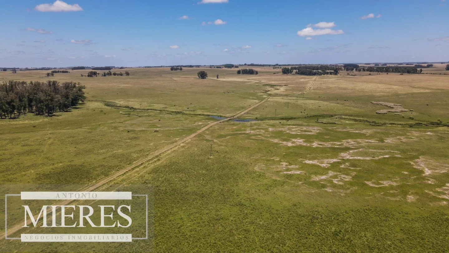 Campo  Ganadero Agrícola de 1200ha en Treinta y Tres — foto 9