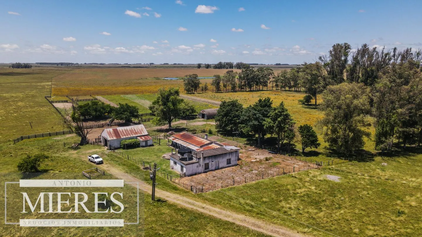 Campo  Ganadero Agrícola de 1200ha en Treinta y Tres — foto 10