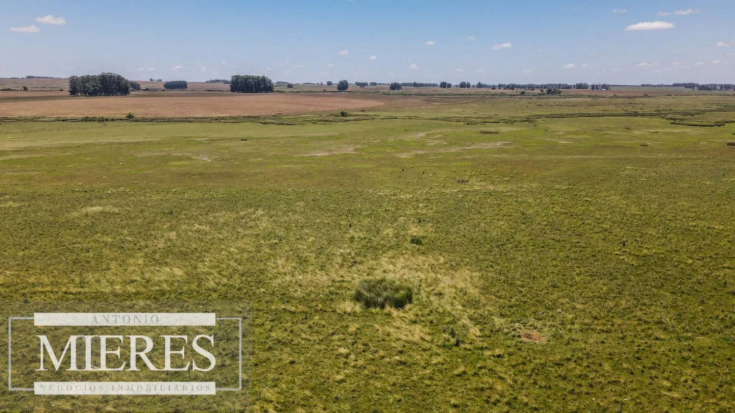 Campo  Ganadero Agrícola de 1200ha en Treinta y Tres — foto 11