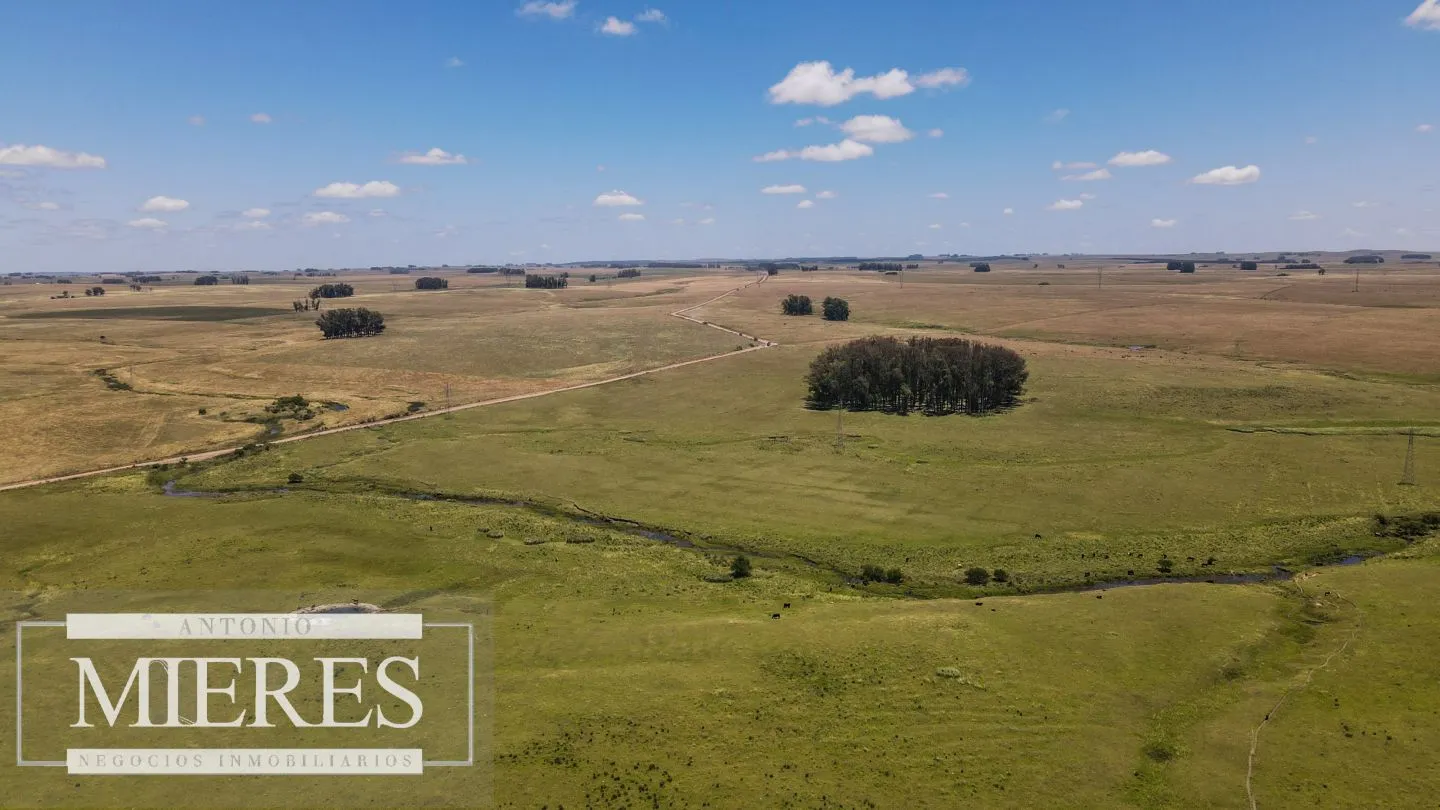 Campo  Ganadero Agrícola de 1200ha en Treinta y Tres — foto 12