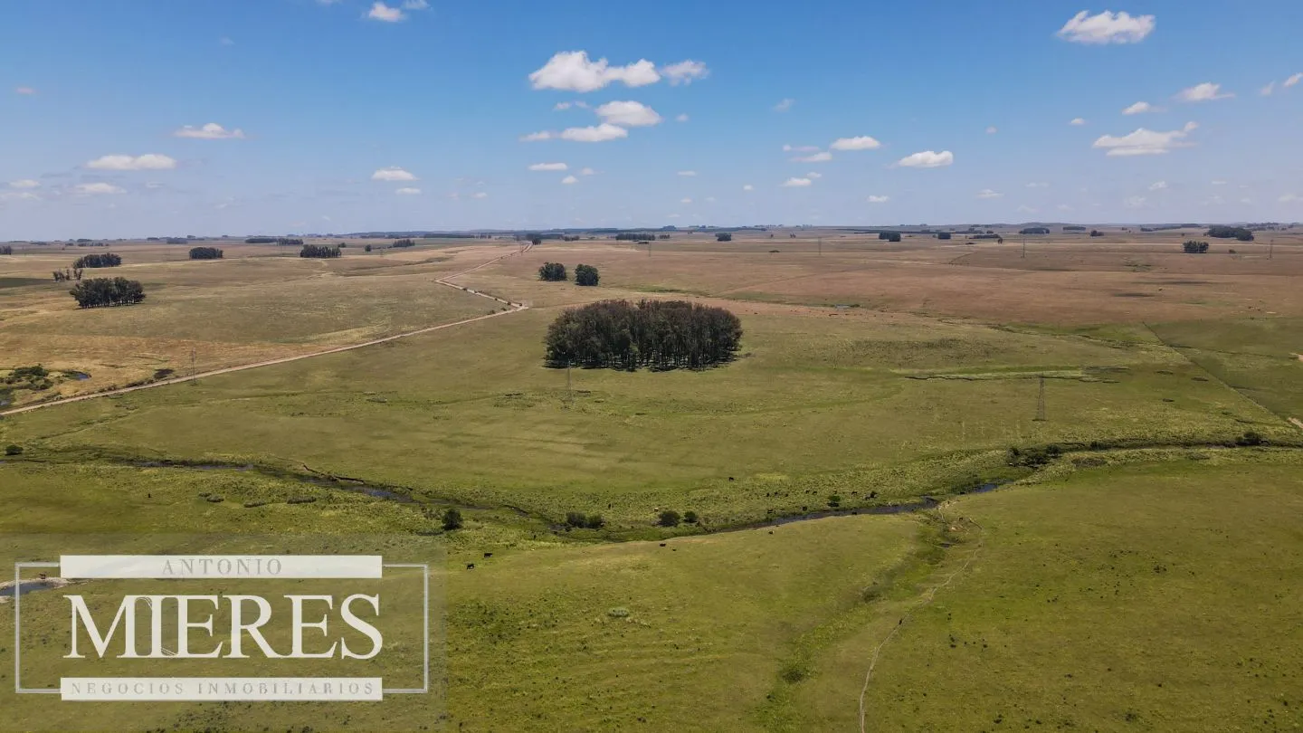 Campo  Ganadero Agrícola de 1200ha en Treinta y Tres — foto 13